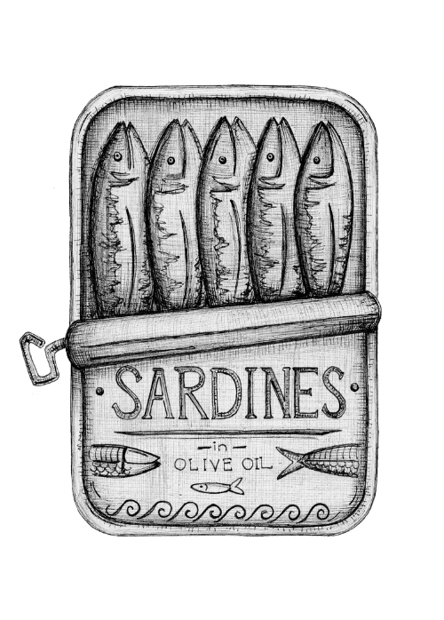 Sardines
